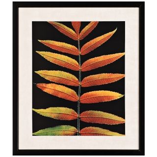 Color Changing Leaves 29" High Wall Art   #J5975