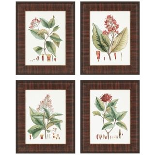 Set of Four Crimson Botanical Framed Wall Art   #N8032