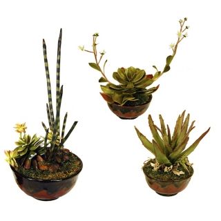 Desert Faux Arrangements Set of Three in Red Pots   #G6098