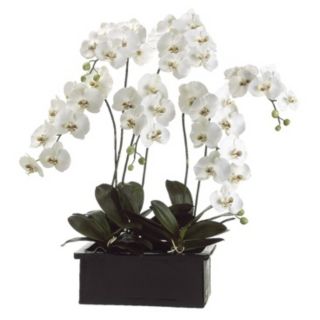 White Orchids in Terra Cotta Pot Faux Flower Arrangement   #M3515