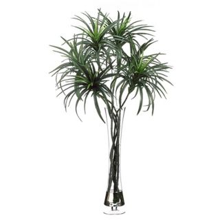 Dracaena Plant in Glass Vase Faux Plants   #N6666