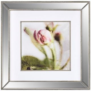 Uttermost 31 3/4" High Apple Blossom Framed Floral Wall Art   #V4007