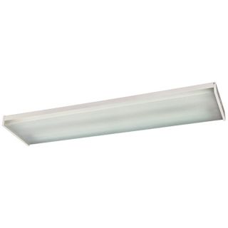 Clear Acrylic Utility Light 48 3/4" Wide Ceiling Fixture   #H8945