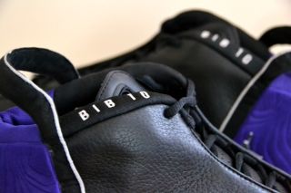 Nike Air Jordan PE Player Exclusive Mike Bibby Size 12 Sample Kings J