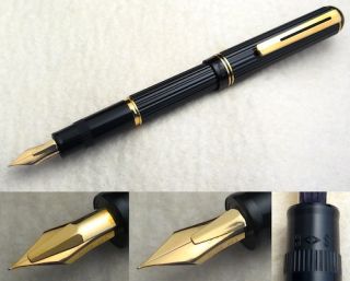 Pilot Justus Fountain Pen Amazing Adjustable Flex