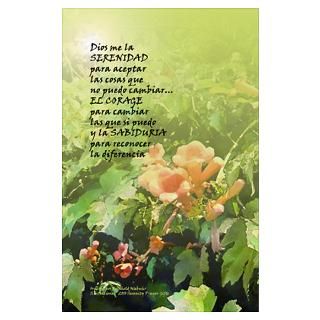 Wall Art  Posters  Serenity Prayer Floral in