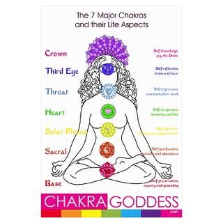 A1) the 7 Major Chakras at a glance Poster