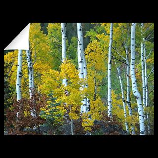 National Geographic Art Store  2012_01_05 011  Aspen, Colorado