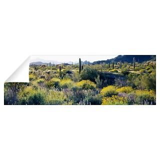 Wall Art  Wall Decals  Desert AZ Wall Decal