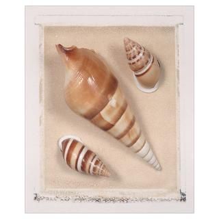 Wall Art  Posters  Seashells Poster