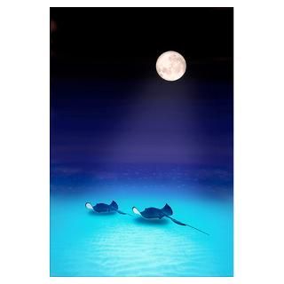 Wall Art  Posters  Southern Stingrays Grand Caymans