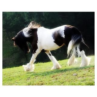 Wall Art  Posters  Gypsy Vanner Poster