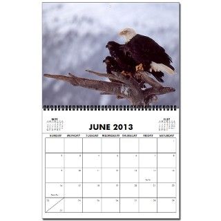 Alaska Eagles 2013 Wall Calendar by james_orear