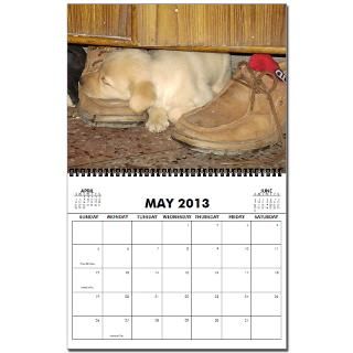 Labrador Retriever 2013 Wall Calendar   Playful Puppies by just