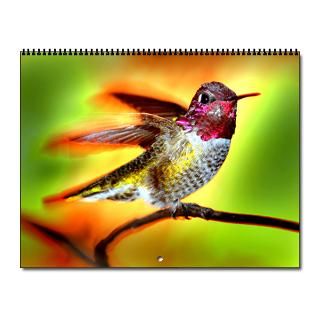 Photo Birds Notepad Home Office  2010 Hummingbird Wall Calendar