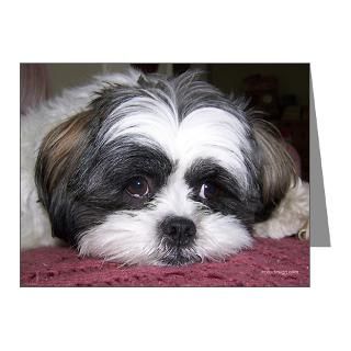  Animals Note Cards  Cute Shih Tzu Dog Note Cards (Pk of 10