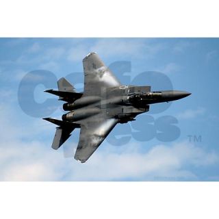 Aircraft Gifts  Aircraft Laptop Skins  F 15 Laptop Skins