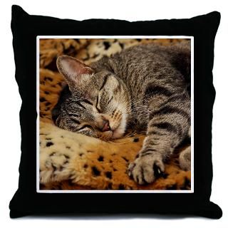 Cat Pillows Cat Throw & Suede Pillows  Personalized