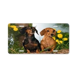 Dachshunds Aluminum License Plate for $19.50