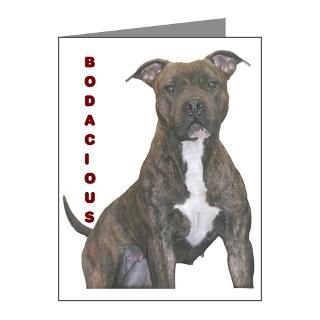 American Pit Bull Note Cards  BODACIOUS Note Cards (Pk of 20
