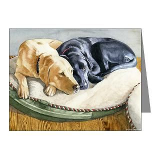  Akc Breeds Note Cards  Faithful Friends Note Cards (Pk of 20