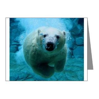 Animal Gifts  Animal Note Cards  Polar Bear Note Cards (Pk of 20)