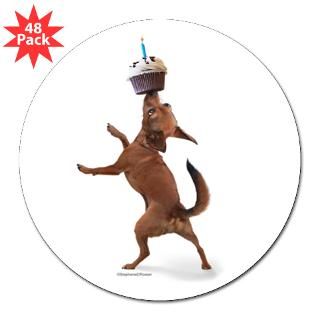 Chihuahua Birthday trick 3 Lapel Sticker (48 for $30.00