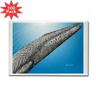 Blue Whale Close up Rectangle Magnet (100 pack)