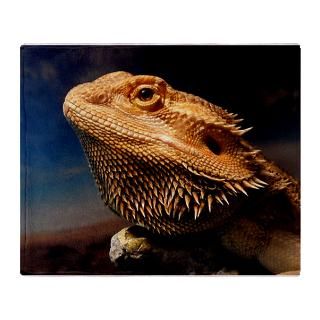 young bearded dragon. Stadium Blanket for $59.50