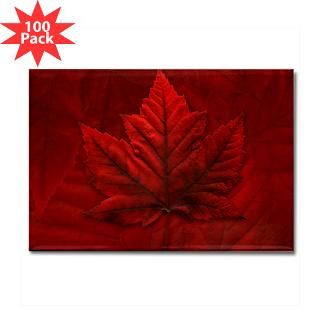 Canadian Autumn Maple Leaf Fridge Magnet 100  Canada Souvenir Gift