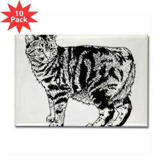 manx cat Rectangle Magnet (10 pack)