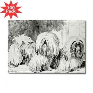 golden lhasa apso rectangle magnet 100 pack $ 148 99