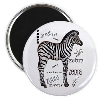Baby zebra 2.25 Magnet (100 pack)