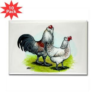 Ameraucana Rooster and Hen  Diane Jacky On Line Catalog
