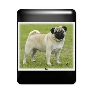 Canine Gifts  Canine IPad Cases  Pug 9R071D 164 iPad Case