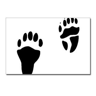 Coati Tracks Postcards (Package of 8) for $9.50
