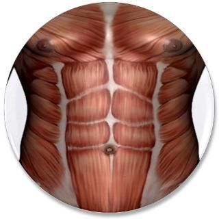 Muscle Chest 3.5 Button