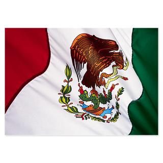Made In Mexico Invitations  Made In Mexico Invitation Templates