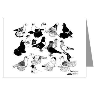 Saxon Color Pigeons Greeting Cards (Pk of 10) for