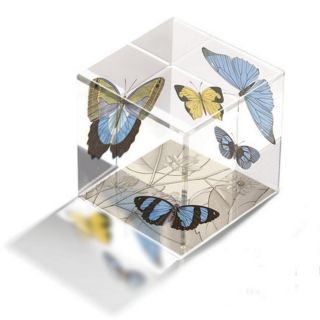 Fringe Butterfly Paperweight