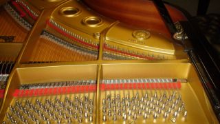 Piano Technician in your local area  paid by BHA Pianocenter