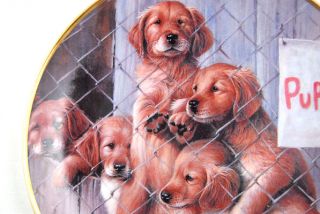 Franklin Mint Adopt A Puppy James Killen Plate