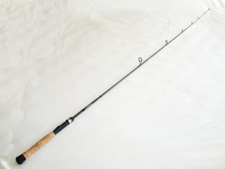 Kistler Drop Shot Special Spinning Fishing Rod FlyMasters Tradeup