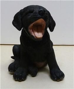 Country Artists Black Labrador Puppy Yawning 02438