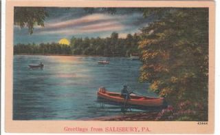 1947 Salisbury PA Beautiful Lake View Postcard