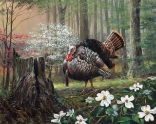 McDonald Wild Turkey Print Woodland Prince