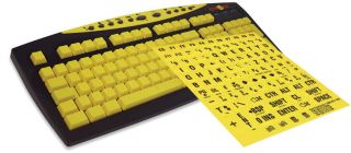Typing Tutor Keyboard with Large Print Keyboard Sticker
