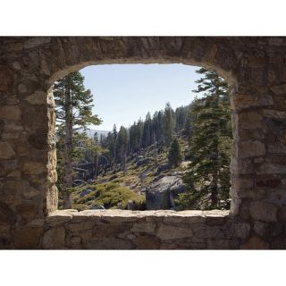 Home Fashions Ultimate Stone Forest Wall Mural UMB91024