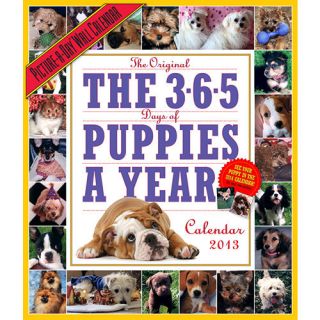 365 Puppies A Year 2013 Wall Calendar