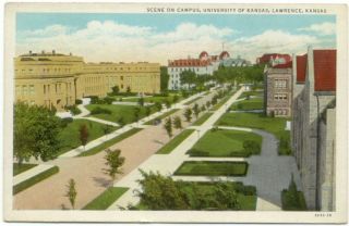 Lawrence KS University of Kansas Old Postcard